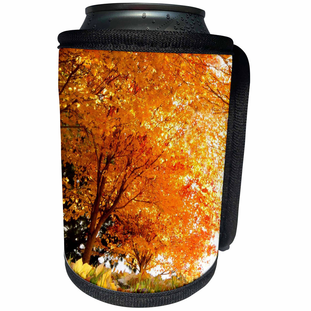 3dRose TNMGraphics Autumn - Autumn Day - Can Cooler Bottle Wrap (cc_28967)