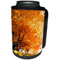 3dRose TNMGraphics Autumn - Autumn Day - Can Cooler Bottle Wrap (cc_28967)
