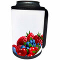 3dRose TNMGraphics Food and Drink - Red and Blue Berries - Can Cooler Bottle Wrap (cc_29021)