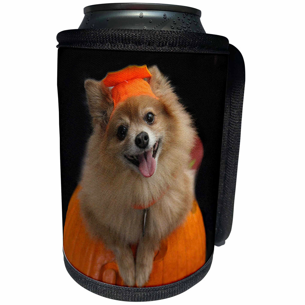 3dRose Sandy Mertens Halloween Designs - Happy Pomeranian Dog on Jack o Lantern Halloween, 3drsmm - Can Cooler Bottle Wrap (cc_290230)