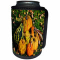 3dRose Thanksgiving - Image of Outdoor Scene With Pumpkin Gourds And Says Thanksgiving - Can Cooler Bottle Wrap (cc_290283)