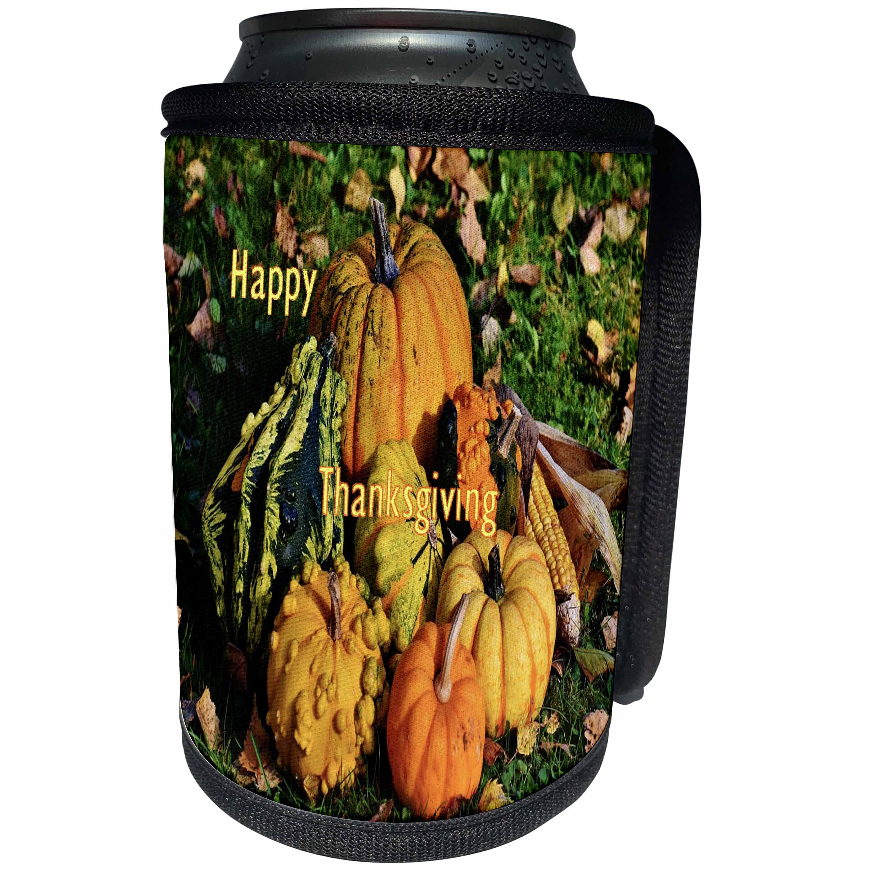 3dRose Thanksgiving - Image of Outdoor Scene With Pumpkin Gourds And Says Thanksgiving - Can Cooler Bottle Wrap (cc_290283)