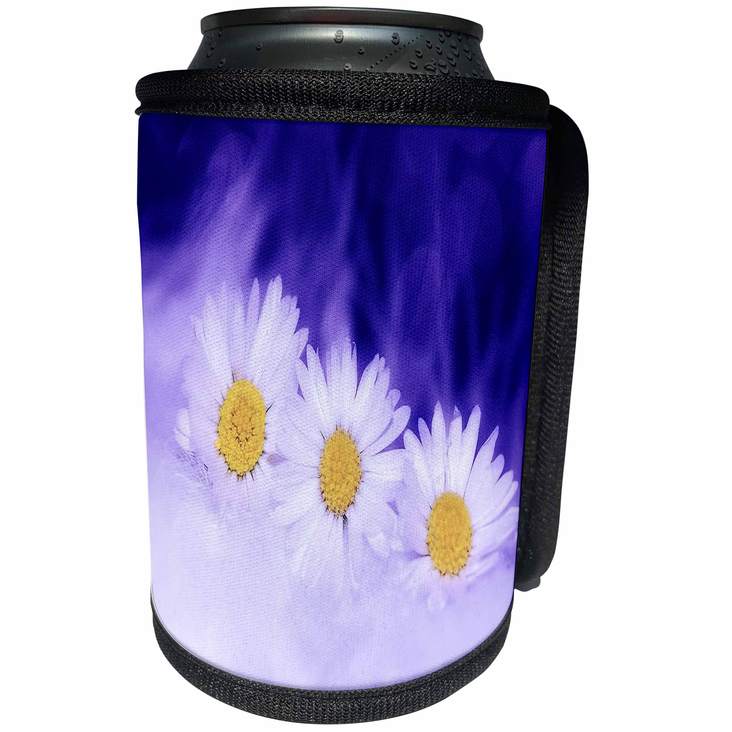 3dRose Spring Flowers - Image of Three Daisies On Purple And Violet - Can Cooler Bottle Wrap (cc_290345)
