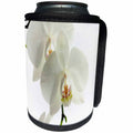 3dRose Spring Flowers - Image of Delicate White Orchids - Can Cooler Bottle Wrap (cc_290349)