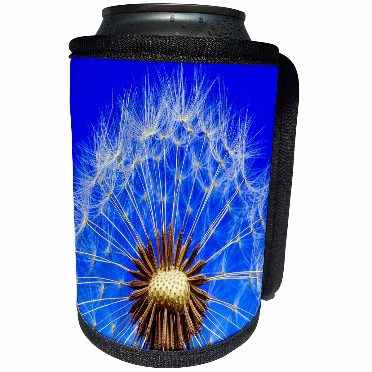 3dRose Spring Flowers - Image of Macro Of Underneath A Dandelion - Can Cooler Bottle Wrap (cc_290352)