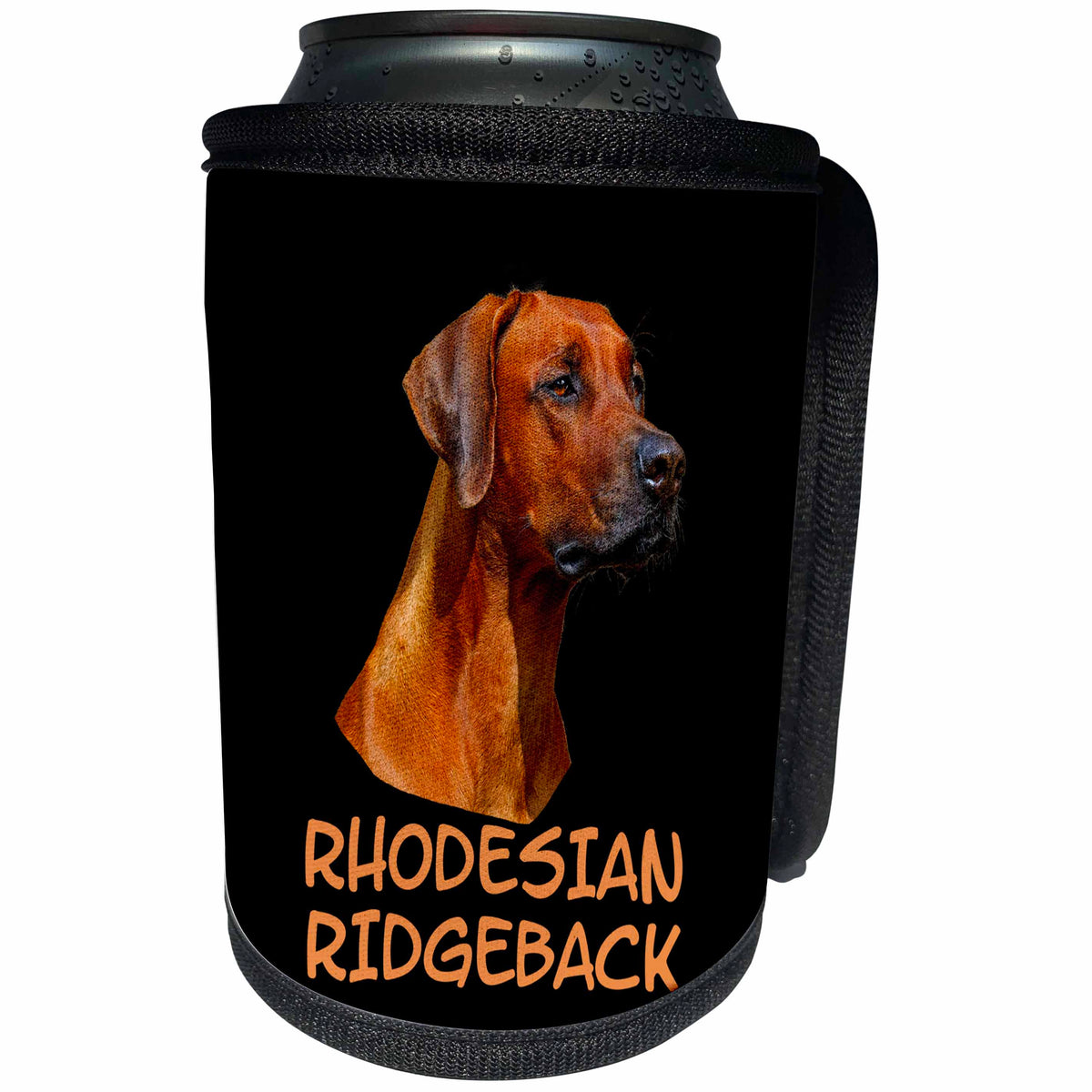 3dRose Sven Herkenrath - Animal - Portrait of A Rhodesian Ridgeback Dog Breeds - Can Cooler Bottle Wrap (cc_290715)