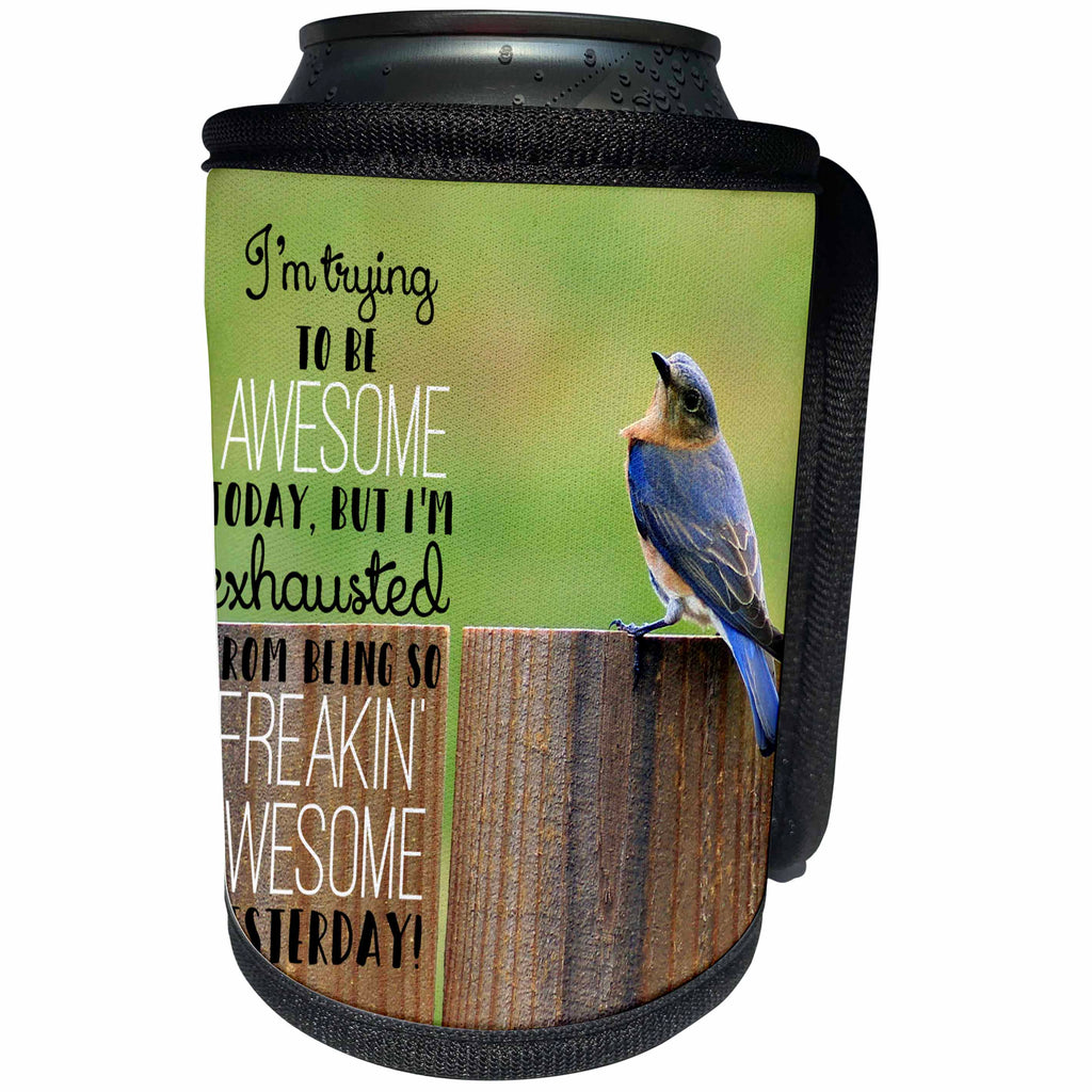 3dRose Stamp City - birds - Photograph of an Eastern Bluebird on a fence trying to be awesome. - Can Cooler Bottle Wrap (cc_290750)