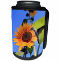 3dRose Stamp City - birds - Photograph of female Ruby-throated hummingbird pollinating a sunflower - Can Cooler Bottle Wrap (cc_290752)