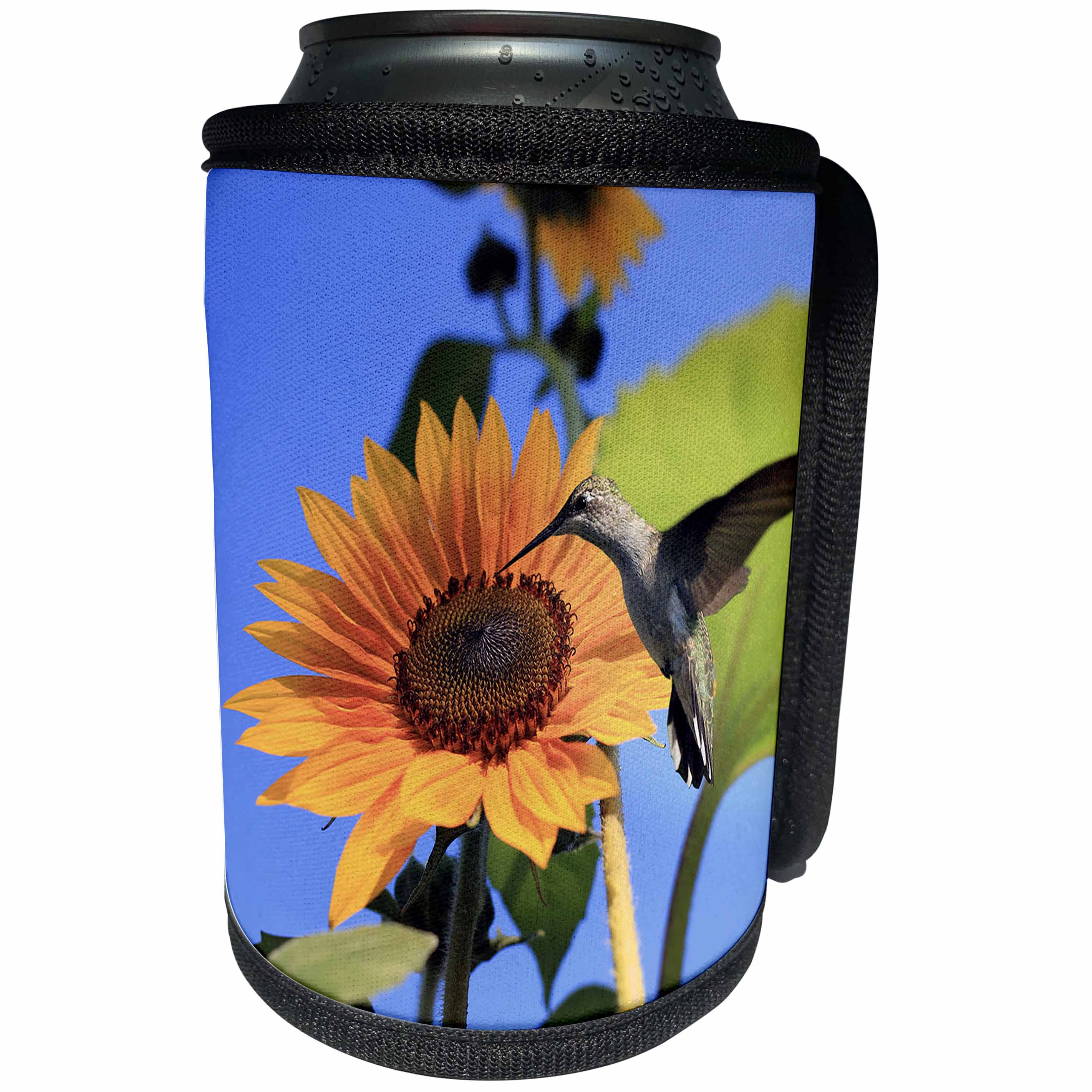 3dRose Stamp City - birds - Photograph of female Ruby-throated hummingbird pollinating a sunflower - Can Cooler Bottle Wrap (cc_290752)