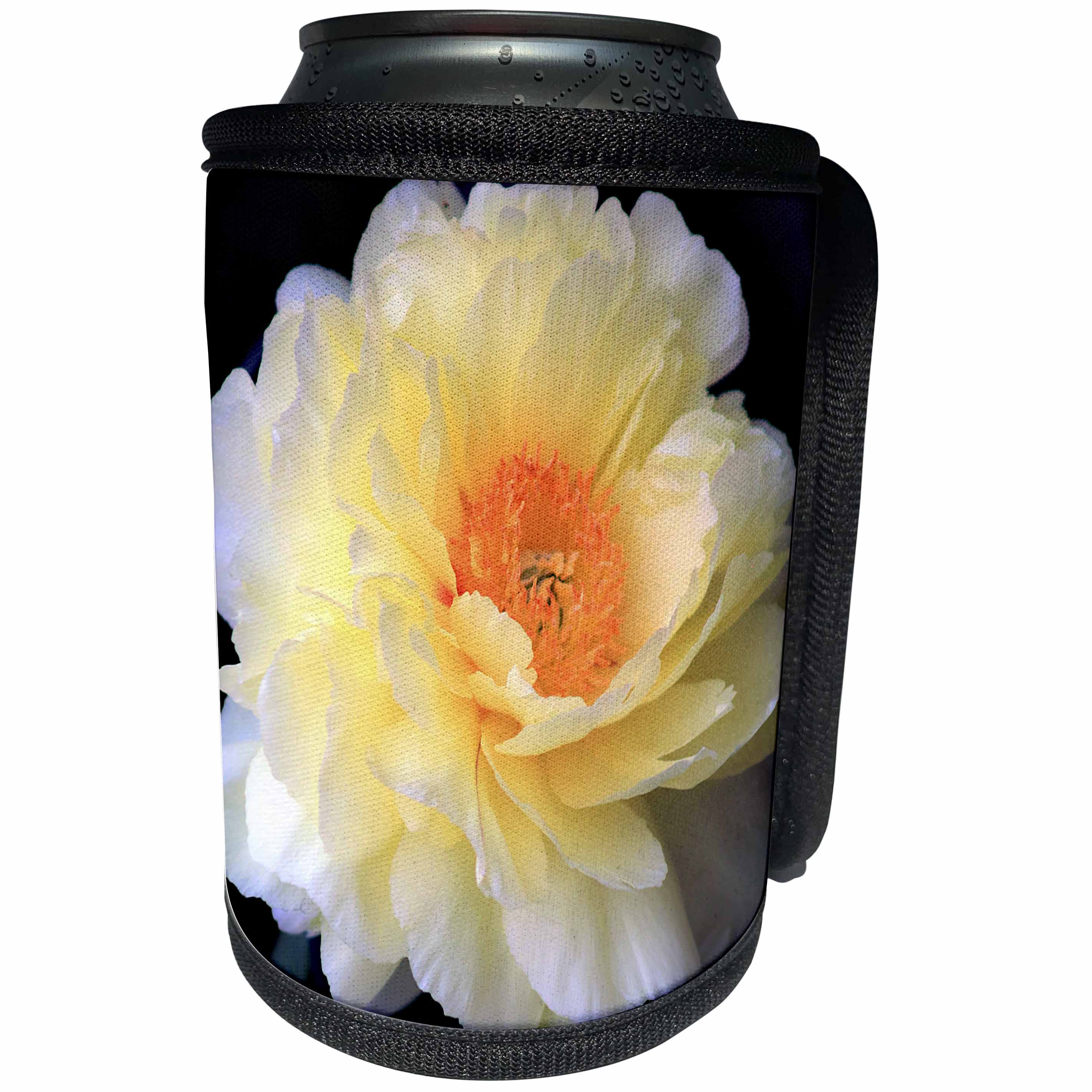 3dRose Stamp City - flowers - Photograph of a stunning single yellow Peony from our garden. - Can Cooler Bottle Wrap (cc_290769)