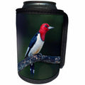 3dRose Stamp City - Birds - A red-Headed Woodpecker on The Branch of a Tree Posing for The Camera. - Can Cooler Bottle Wrap (cc_290777)