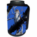 3dRose Stamp City - birds - Photo of a red-tailed hawk hiding in a tree waiting for its next meal. - Can Cooler Bottle Wrap (cc_290778)