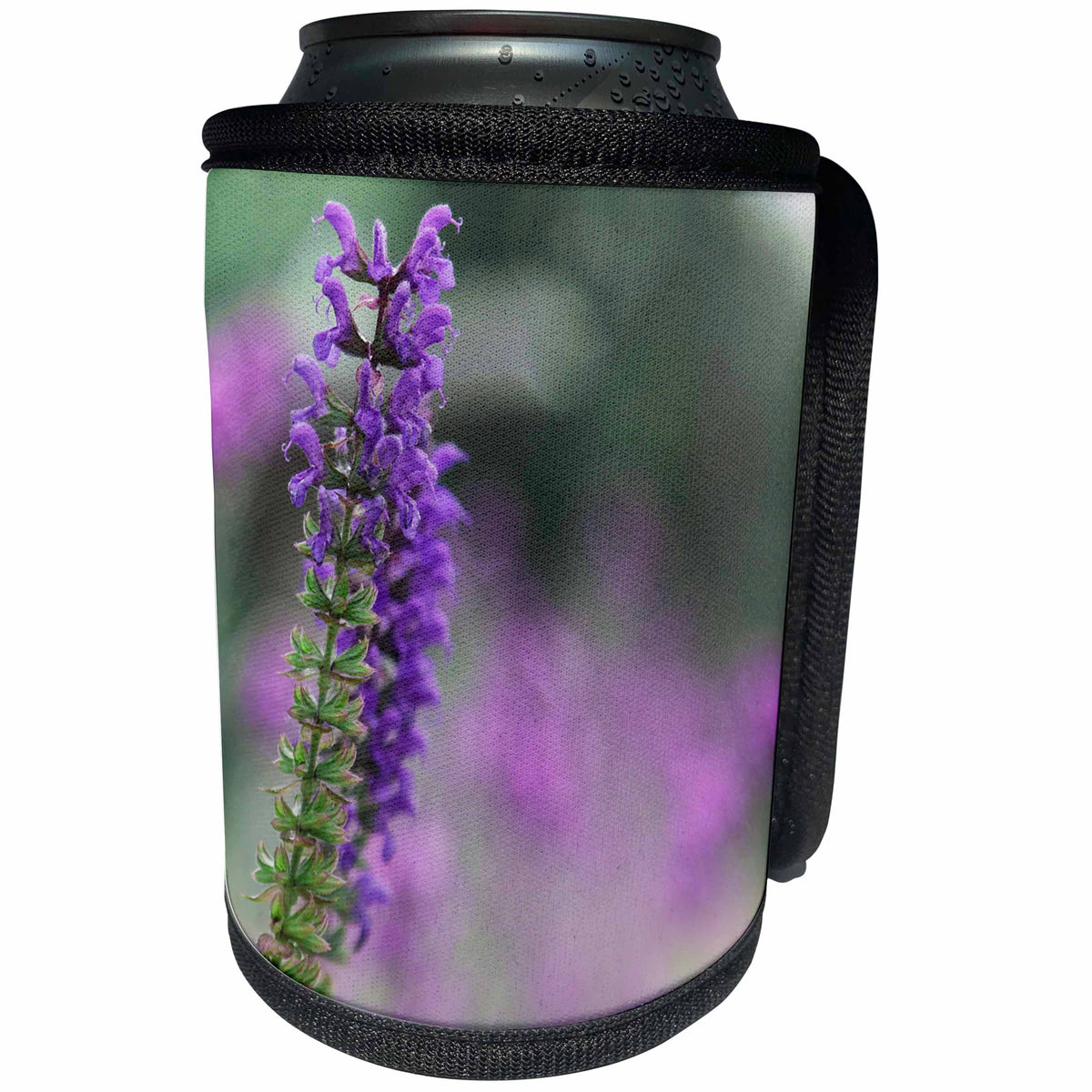 3dRose Stamp City - flowers - Photograph of purple salvia plant which is very popular with the bees. - Can Cooler Bottle Wrap (cc_290782)
