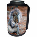 3dRose Stamp City - animals - Photograph of a squirrel munching on a snack. He is nuts about you. - Can Cooler Bottle Wrap (cc_290788)