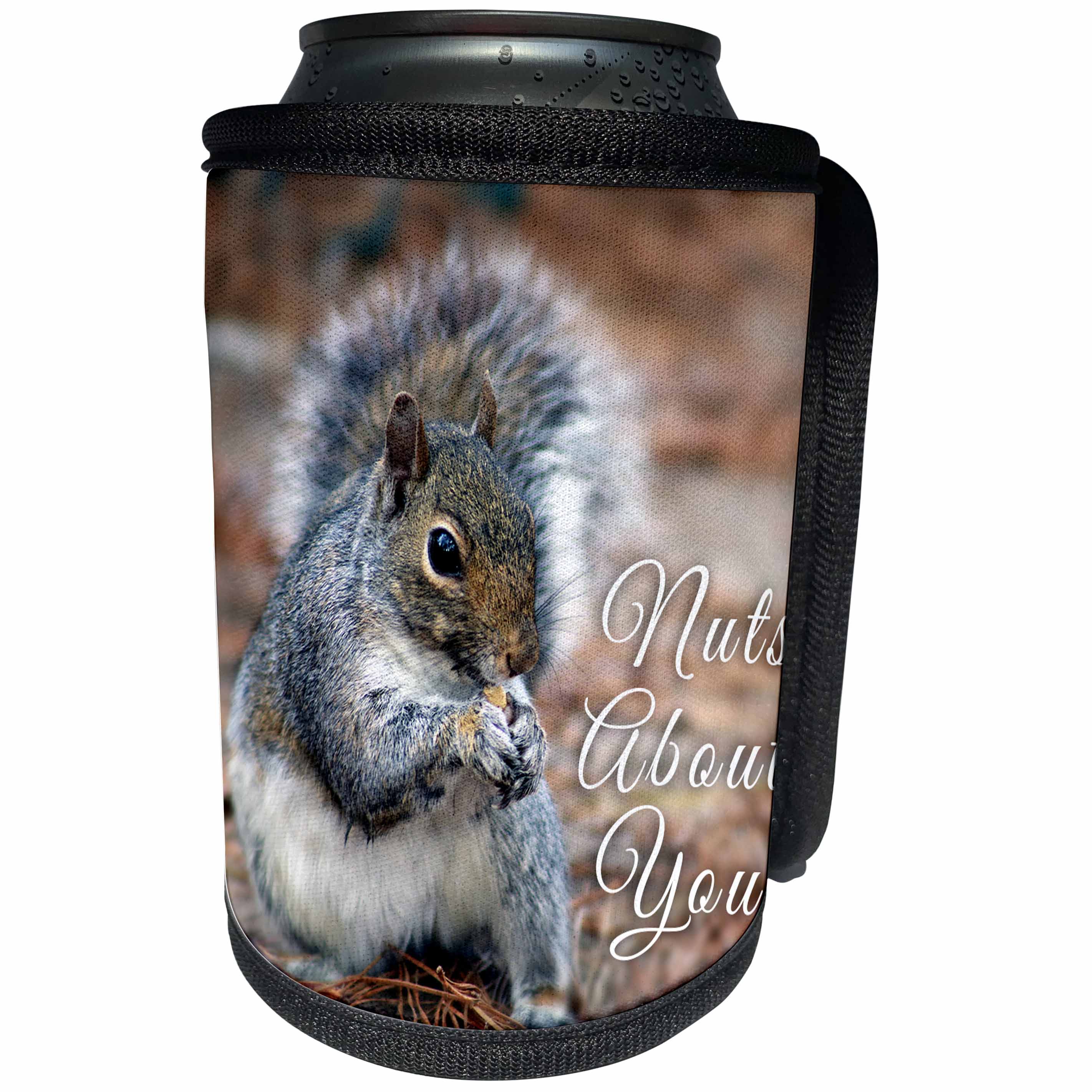 3dRose Stamp City - animals - Photograph of a squirrel munching on a snack. He is nuts about you. - Can Cooler Bottle Wrap (cc_290788)