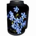 3dRose Alexis Photography - Flowers - Closeup view of blue forget-me-not flowers on a sunny spring day - Can Cooler Bottle Wrap (cc_290803)