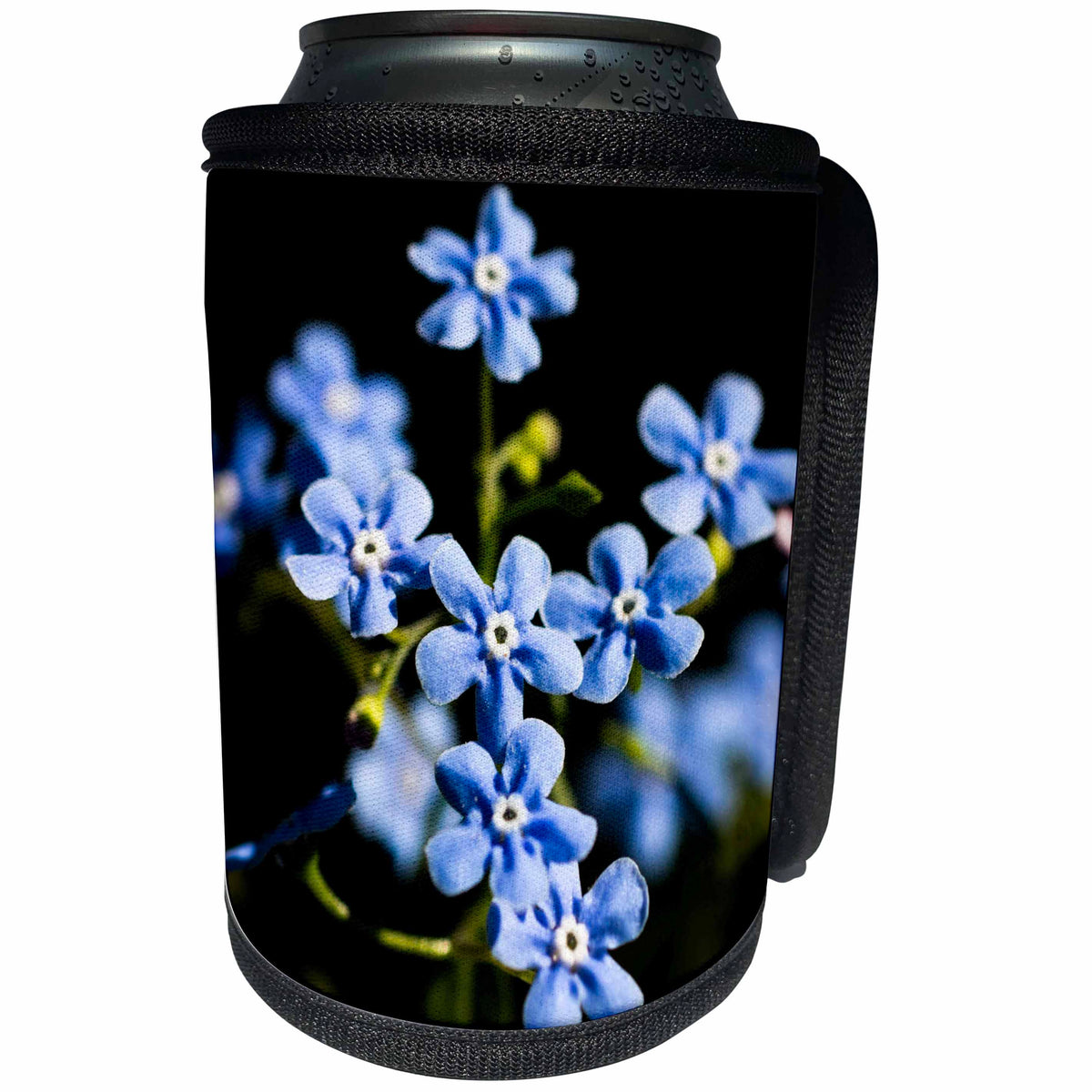 3dRose Alexis Photography - Flowers - Closeup view of blue forget-me-not flowers on a sunny spring day - Can Cooler Bottle Wrap (cc_290803)