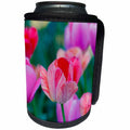 3dRose Alexis Photography - Flowers Tulips - Delicate red, beige, pink tulip flowers, dark green background - Can Cooler Bottle Wrap (cc_290807)