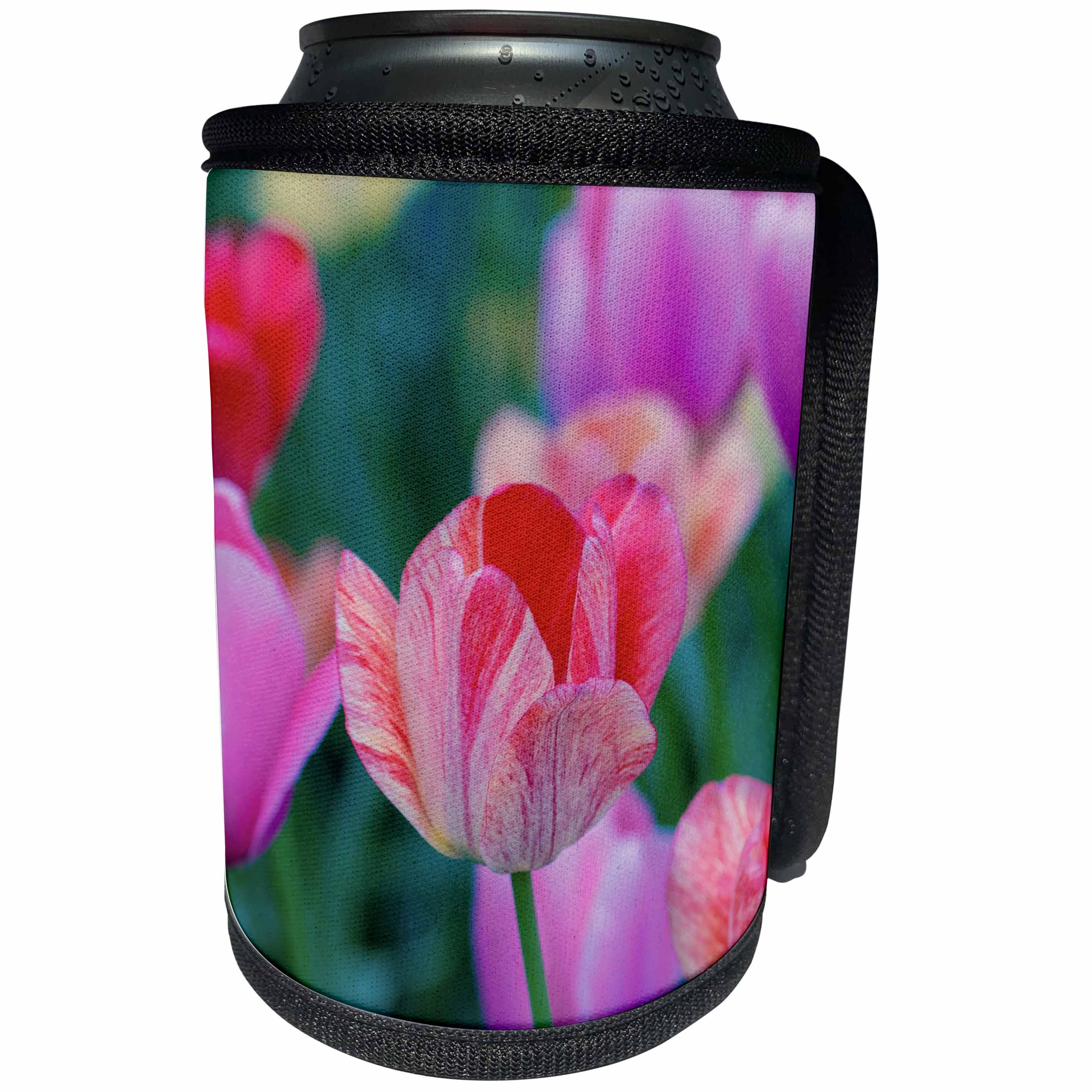 3dRose Alexis Photography - Flowers Tulips - Delicate red, beige, pink tulip flowers, dark green background - Can Cooler Bottle Wrap (cc_290807)