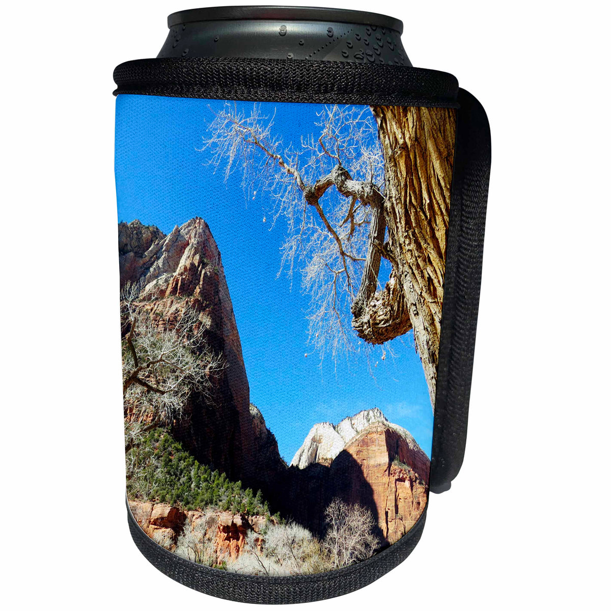 3dRose Jos Fauxtographee- Zion Park - A tree framing the shot of Zion National Park mountain - Can Cooler Bottle Wrap (cc_291058)