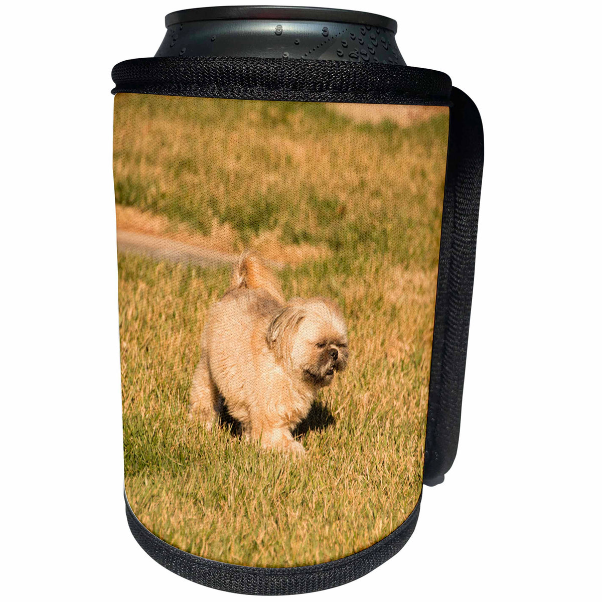 3dRose Jos Fauxtographee- Shih Tzu Running Happily - A green lawn with a Shih Tzu Dog running happily - Can Cooler Bottle Wrap (cc_291064)