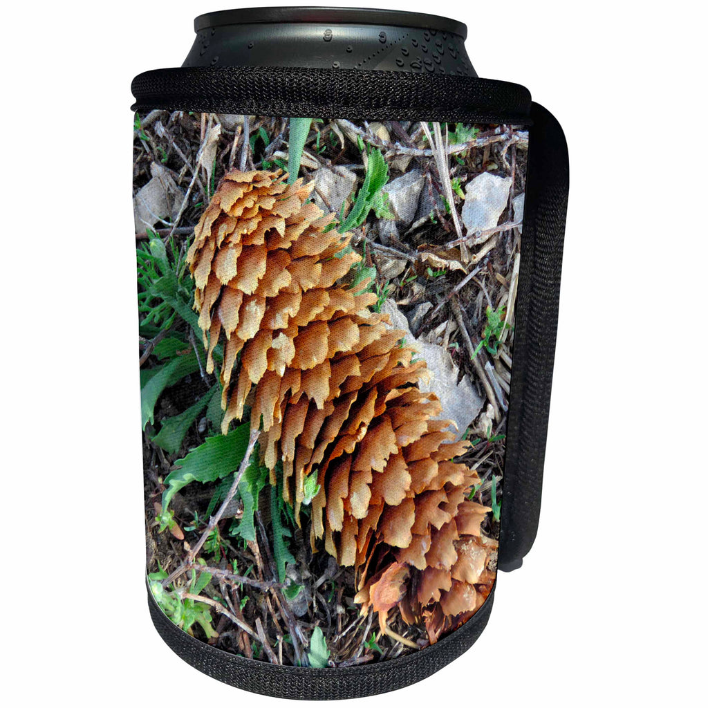 3dRose Jos Fauxtographee- Pine Cone on Ground - A large pine cone that has dropped to the ground on weeds - Can Cooler Bottle Wrap (cc_291069)