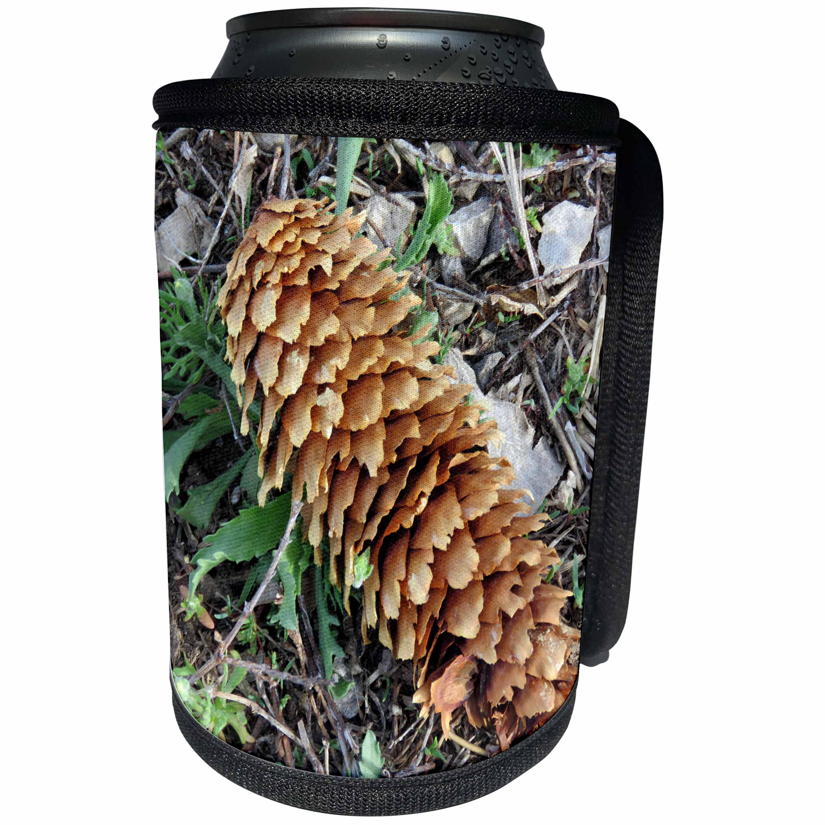 3dRose Jos Fauxtographee- Pine Cone on Ground - A large pine cone that has dropped to the ground on weeds - Can Cooler Bottle Wrap (cc_291069)