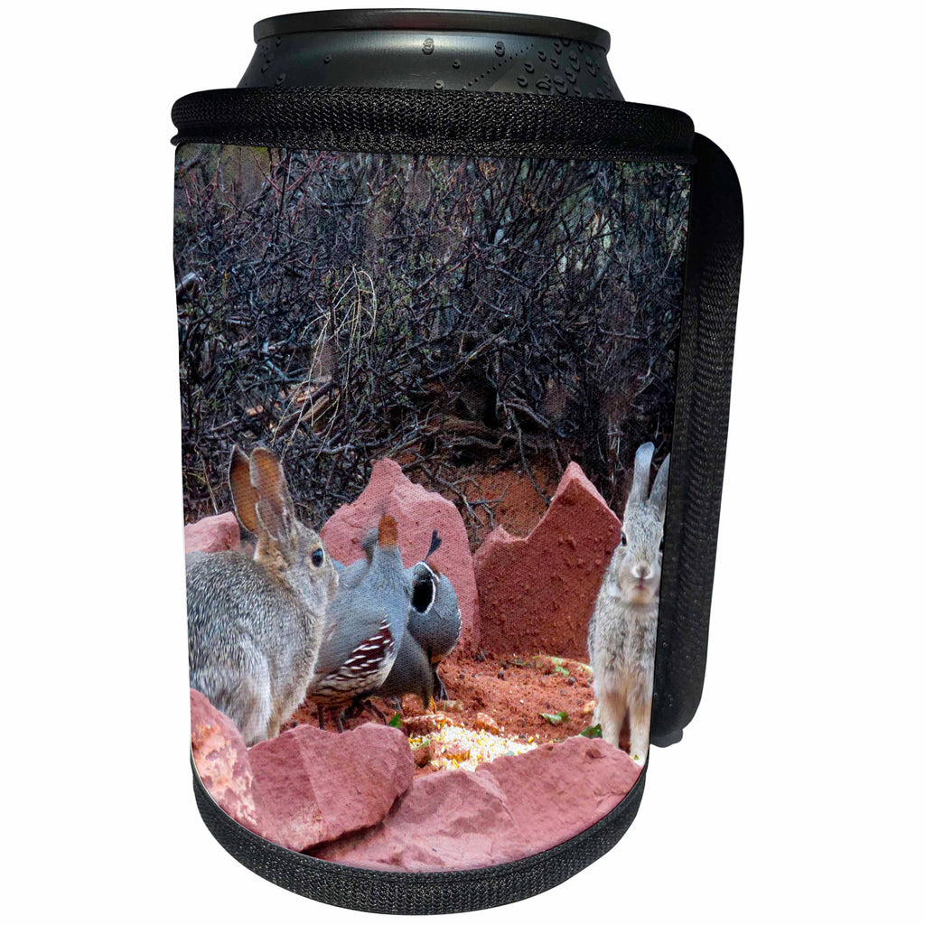 3dRose Jos Fauxtographee- Bunnies and Birds - Two bunnies out in the wild with two birds pictured with them - Can Cooler Bottle Wrap (cc_291085)