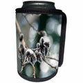 3dRose Jos Fauxtographee- Tree Buds on Aspen - Furry like buds coming off an Aspen Tree - Can Cooler Bottle Wrap (cc_291097)