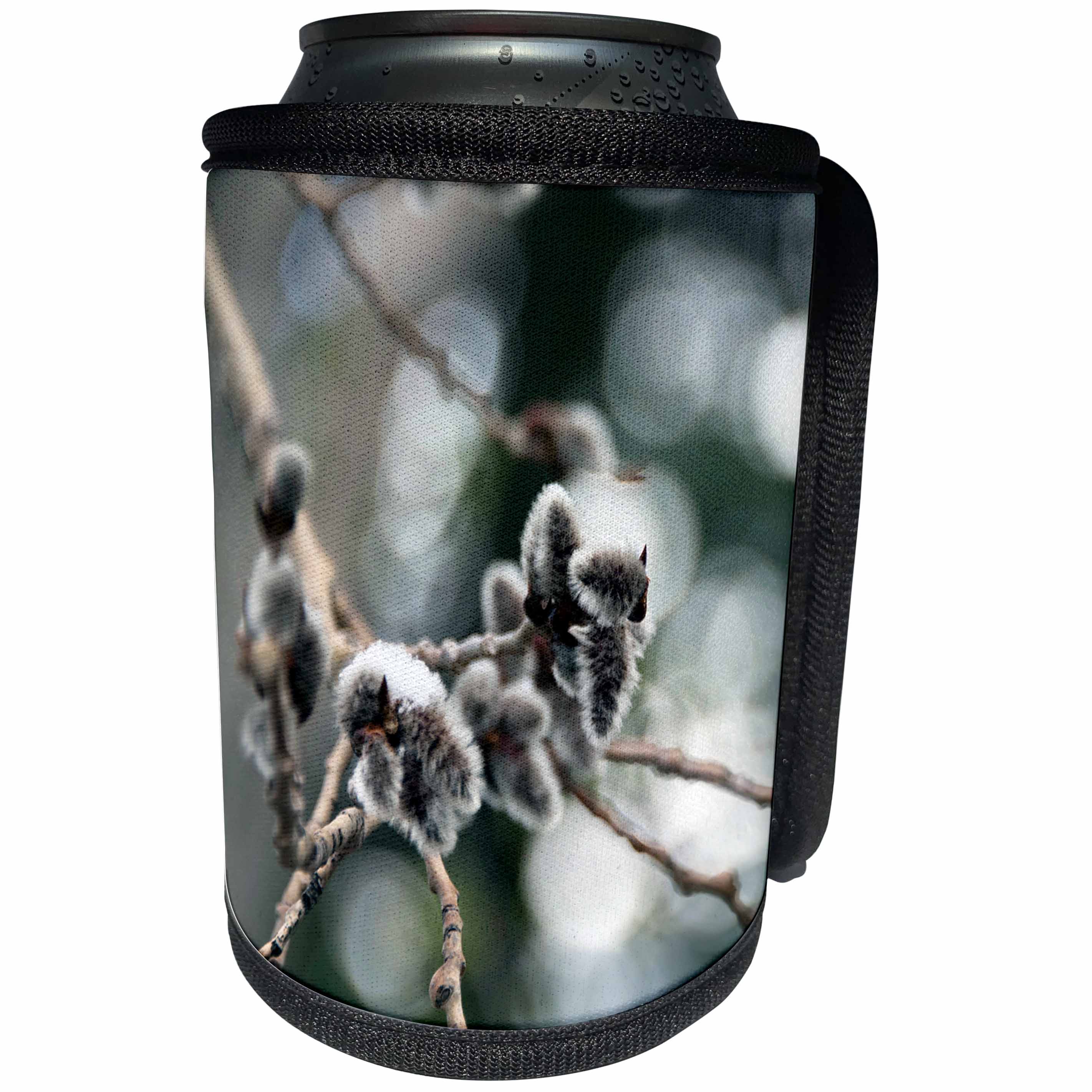 3dRose Jos Fauxtographee- Tree Buds on Aspen - Furry like buds coming off an Aspen Tree - Can Cooler Bottle Wrap (cc_291097)