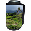 3dRose Lens Art by Florene - Cruise Ship Sites - Image Of Palm On Windy St Kitts Mountain - Can Cooler Bottle Wrap (cc_291438)