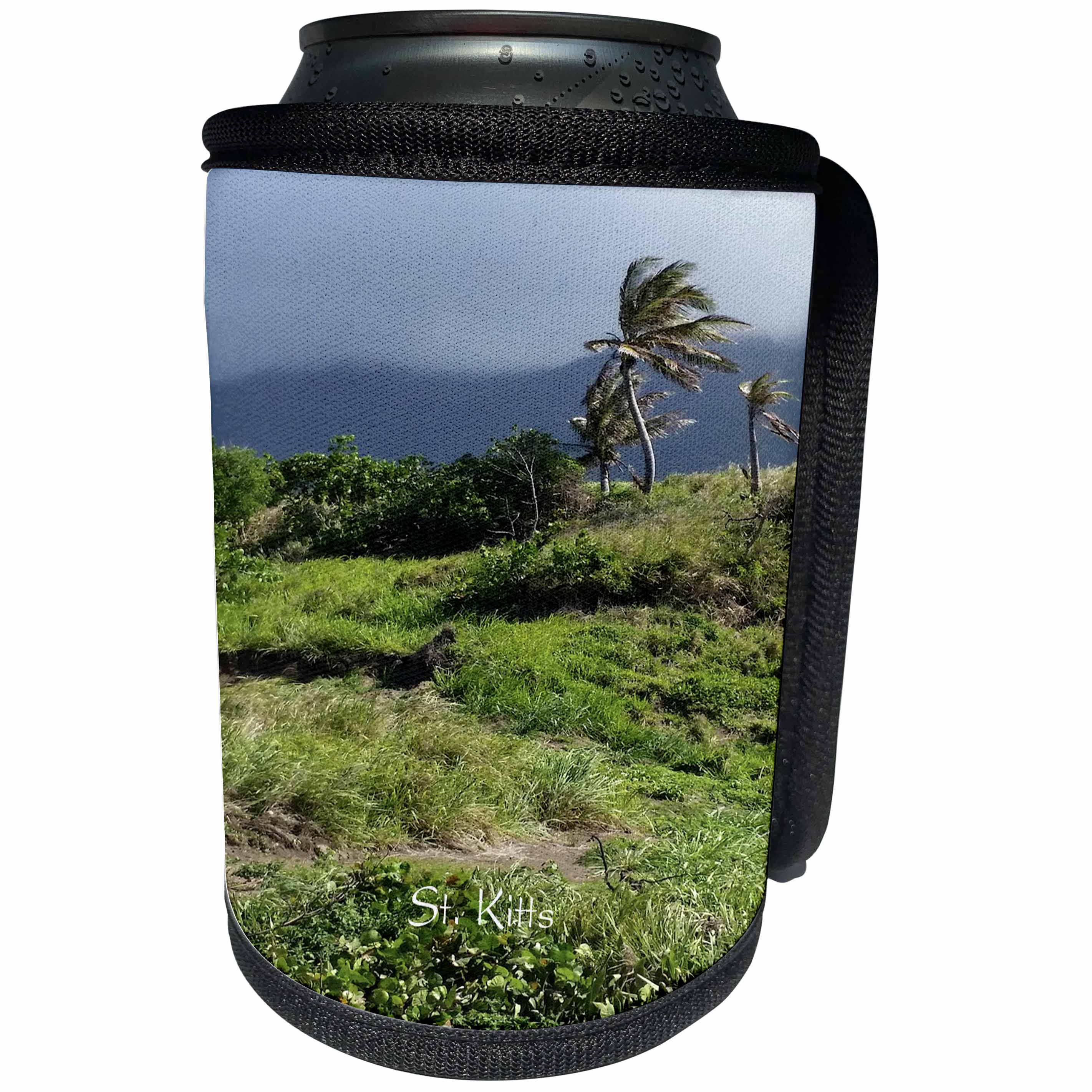 3dRose Lens Art by Florene - Cruise Ship Sites - Image Of Palm On Windy St Kitts Mountain - Can Cooler Bottle Wrap (cc_291438)