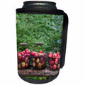 3dRose Andrea Haase Nature Photography - Apple Harvest Photography In Rustic Baskets - Can Cooler Bottle Wrap (cc_291641)