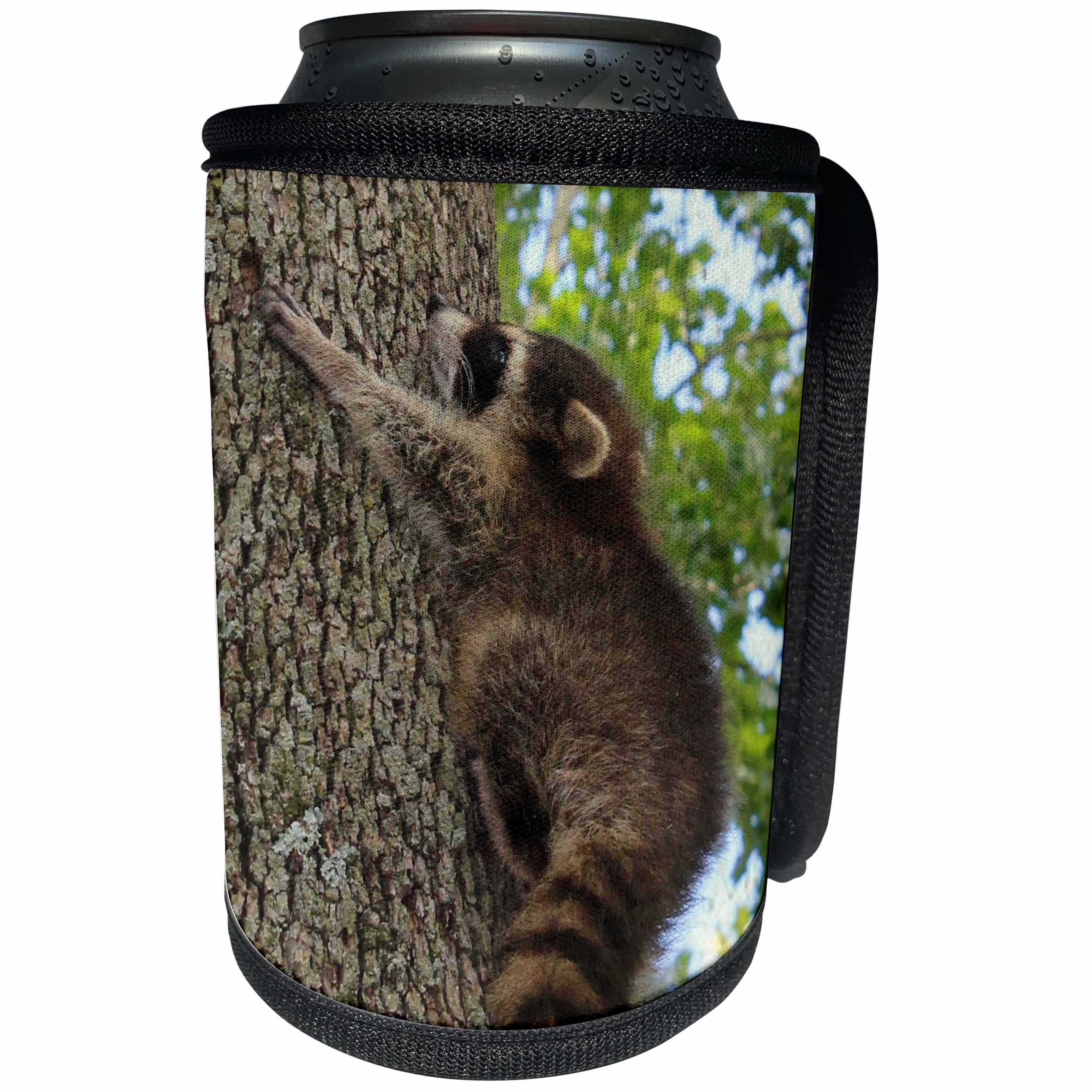 3dRose Cassie Peters Wildlife - Baby Raccoon Climbing Tree - Can Cooler Bottle Wrap (cc_291746)