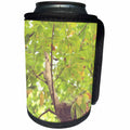 3dRose Cassie Peters Photography - Bird Nest In Tree - Can Cooler Bottle Wrap (cc_291749)