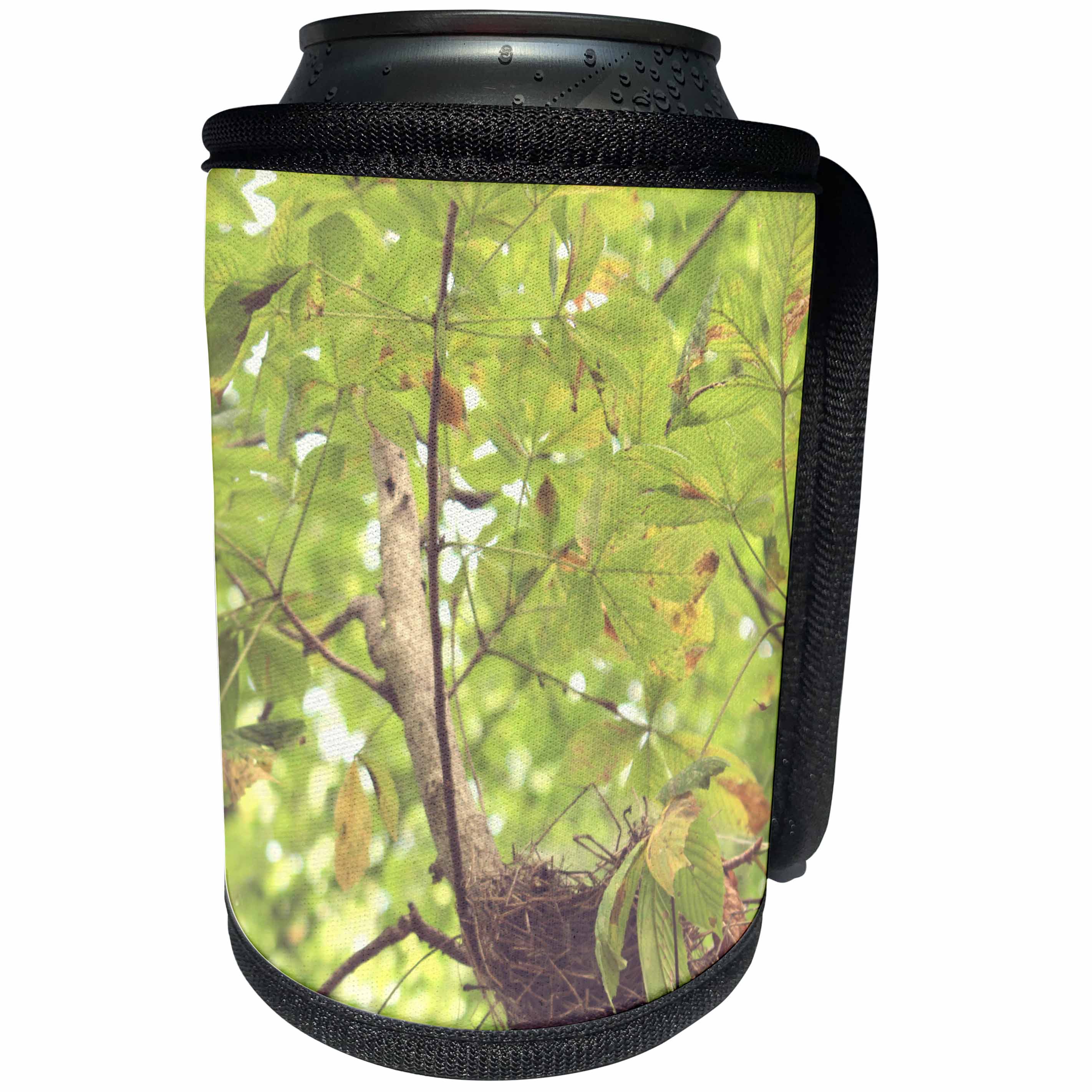 3dRose Cassie Peters Photography - Bird Nest In Tree - Can Cooler Bottle Wrap (cc_291749)