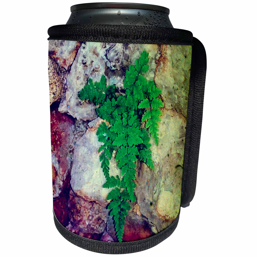 3dRose Cassie Peters Photography - Fern and Geodes - Can Cooler Bottle Wrap (cc_291752)