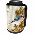 3dRose Cassie Peters Birds - Blue Jay - Can Cooler Bottle Wrap (cc_291766)