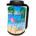 3dRose MacDonald Creative Studios – Flamingo - Crazy Flamingo Lady for anyone who is crazy about Flamingos. - Can Cooler Bottle Wrap (cc_291869)