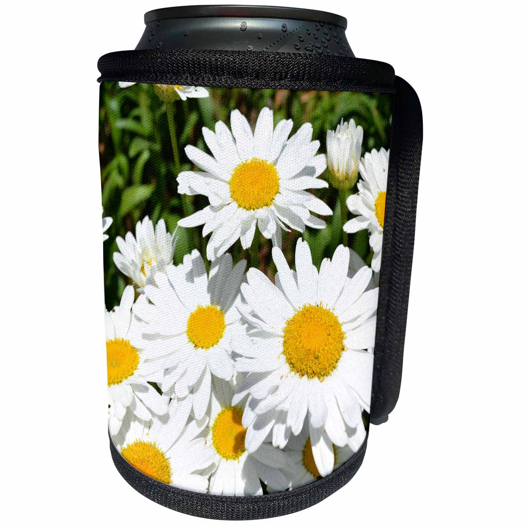 3dRose Patricia Sanders Flowers - Garden of Daisies Flowers Floral Photography - Can Cooler Bottle Wrap (cc_29211)