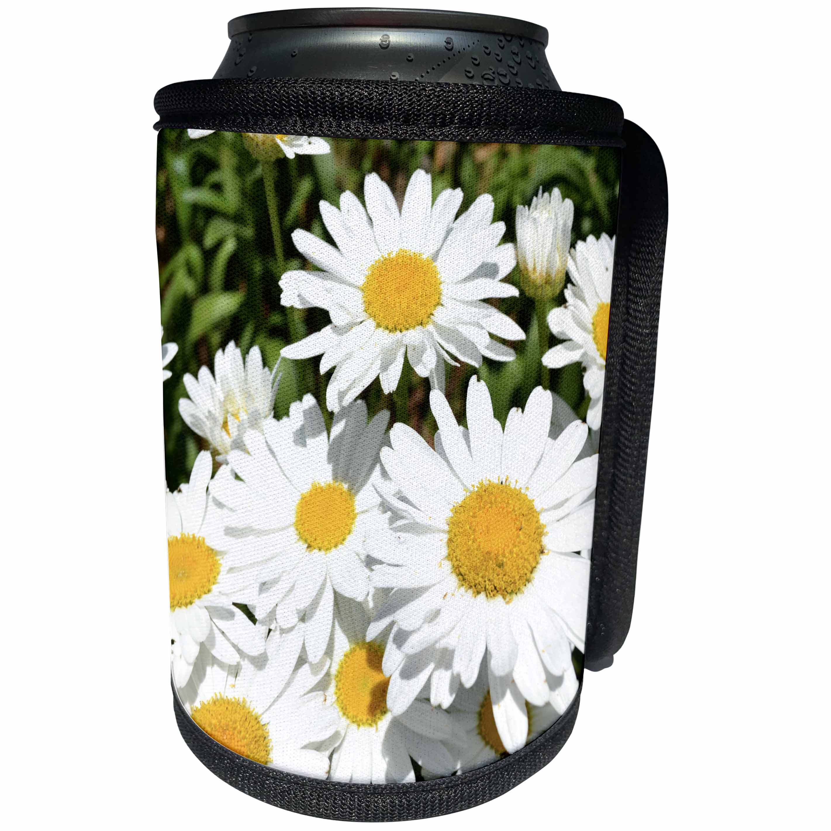 3dRose Patricia Sanders Flowers - Garden of Daisies Flowers Floral Photography - Can Cooler Bottle Wrap (cc_29211)