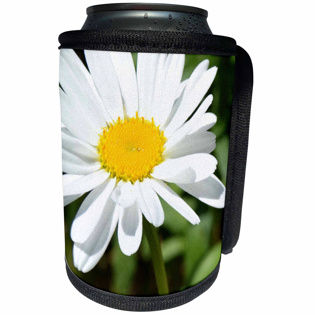 3dRose Patricia Sanders Flowers - Daisy in the Sun Flowers Floral Photography - Can Cooler Bottle Wrap (cc_29214)