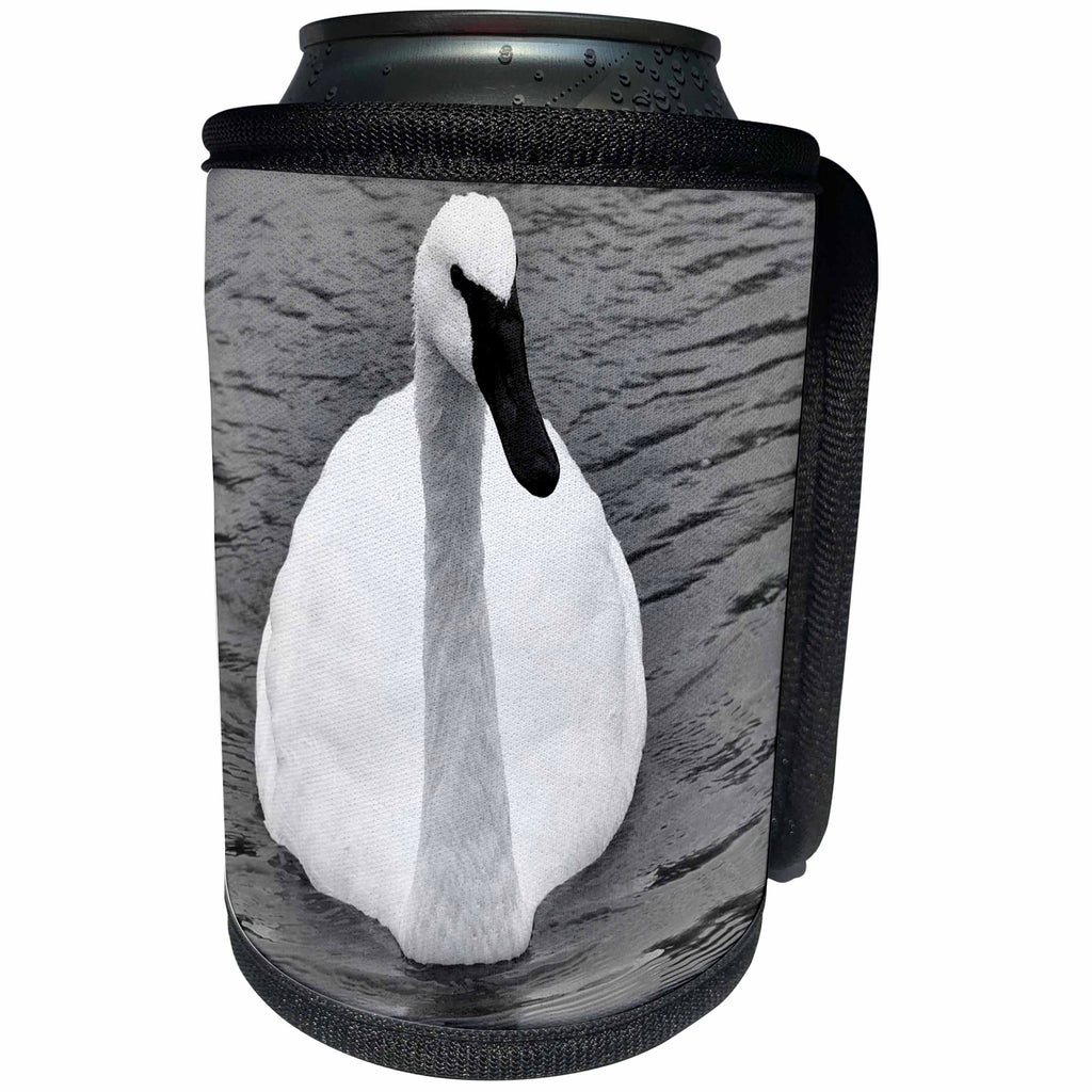 3dRose Dreamscapes by Leslie - Birds - Michigan Trumpeter Swan swimming - Can Cooler Bottle Wrap (cc_292182)