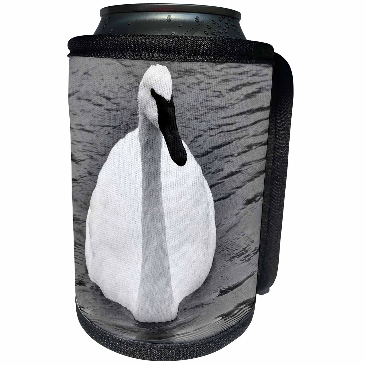 3dRose Dreamscapes by Leslie - Birds - Michigan Trumpeter Swan swimming - Can Cooler Bottle Wrap (cc_292182)