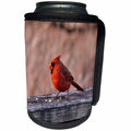3dRose Dreamscapes by Leslie - Birds - Male Cardinal - Can Cooler Bottle Wrap (cc_292196)