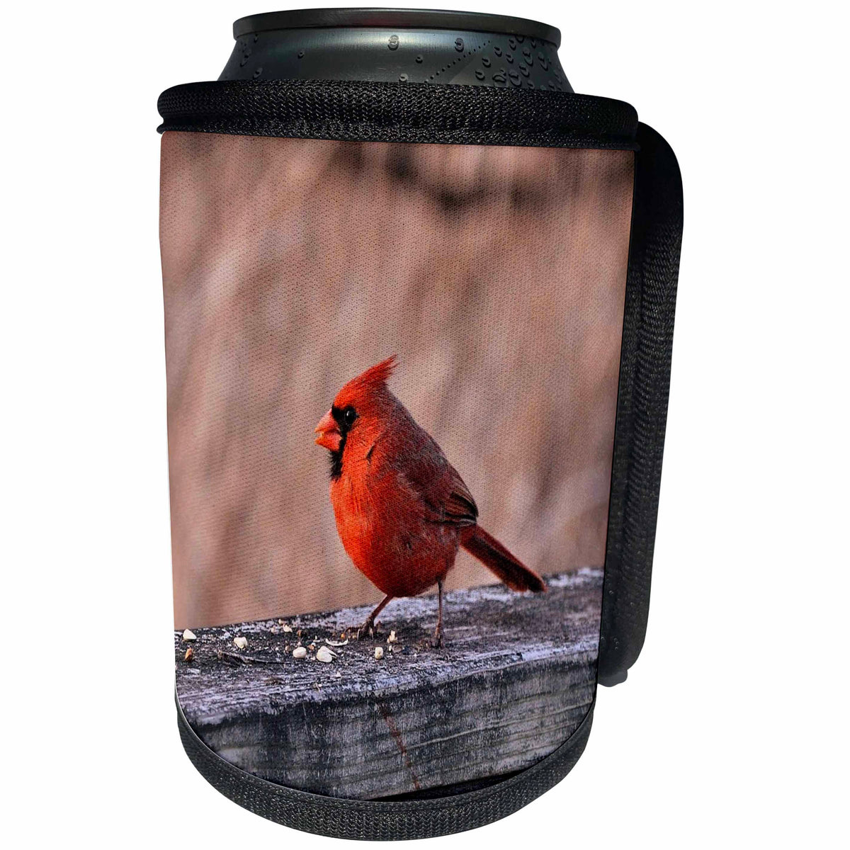 3dRose Dreamscapes by Leslie - Birds - Male Cardinal - Can Cooler Bottle Wrap (cc_292196)