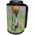 3dRose Dreamscapes by Leslie - Birds - Baby sandhill cranes learning from Mom - Can Cooler Bottle Wrap (cc_292197)