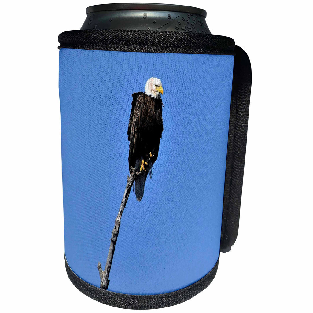 3dRose Dreamscapes by Leslie - Birds - Majestic Eagle searching for food in the spring - Can Cooler Bottle Wrap (cc_292199)