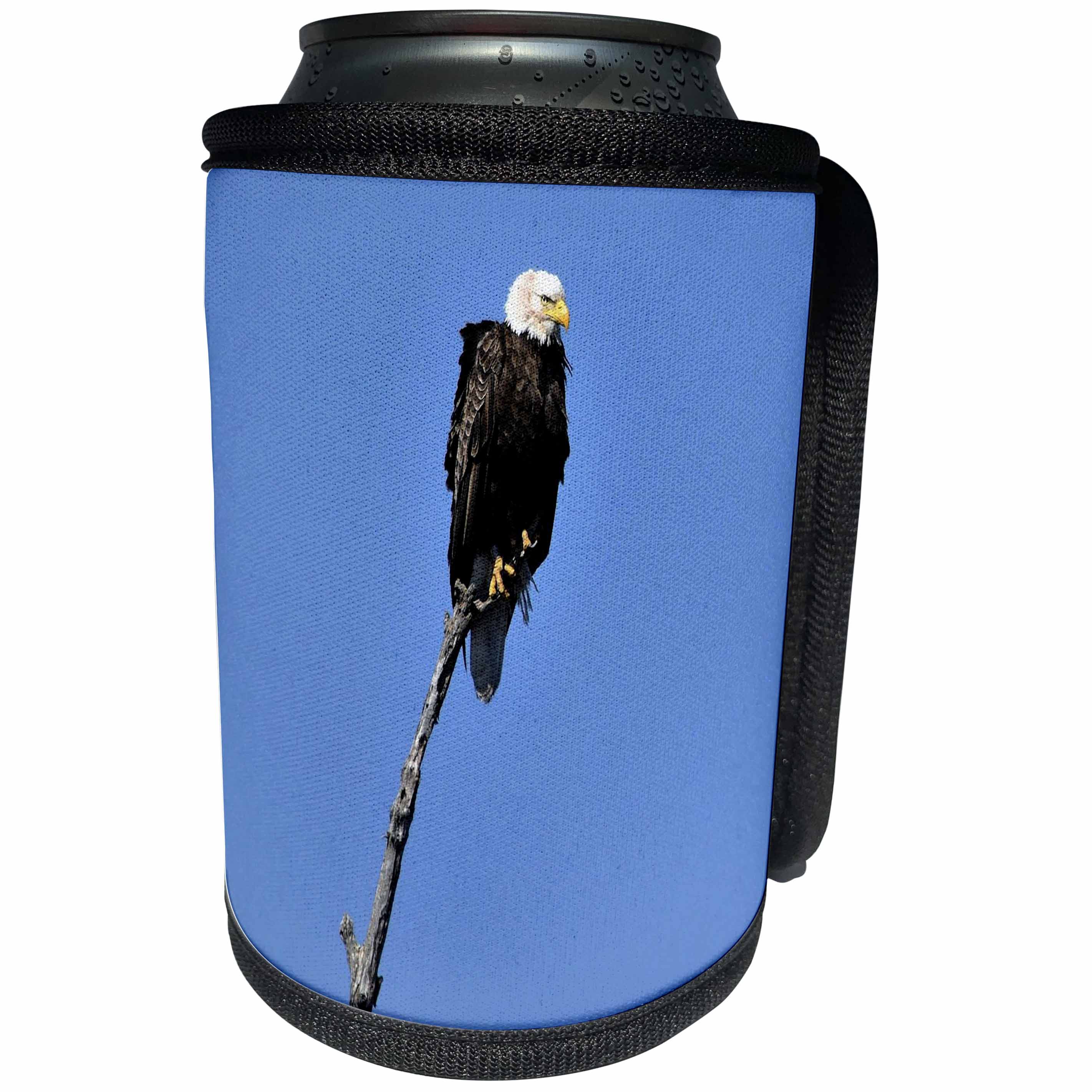 3dRose Dreamscapes by Leslie - Birds - Majestic Eagle searching for food in the spring - Can Cooler Bottle Wrap (cc_292199)