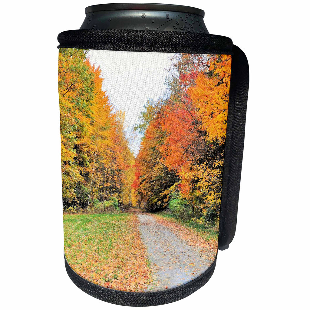 3dRose Dreamscapes by Leslie - Scenery - Country road with a burst of fall colors - Can Cooler Bottle Wrap (cc_292205)